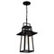 Quoizel Devonport 1-Light Matte Black Outdoor Hanging Lantern DEV1910MBK - alternate 3
